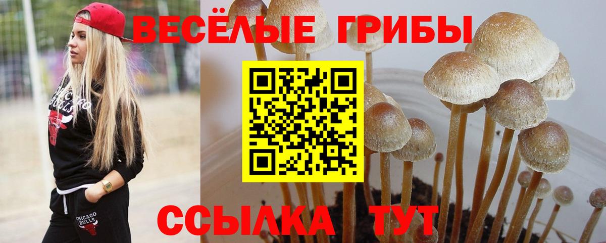 Псилоцибиновые грибы Psilocybine cubensis  Псилоцибиновые грибы MAGIC MUSHROOMS  Вход с VPN  Минусинск 